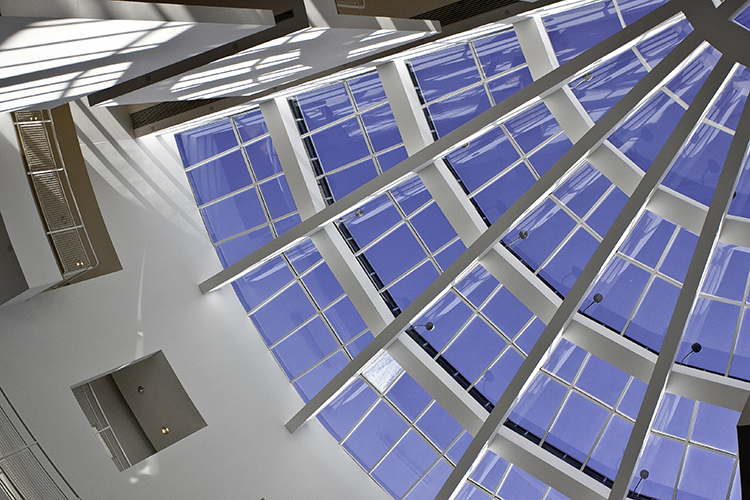 Skylight in Robinson Atrium